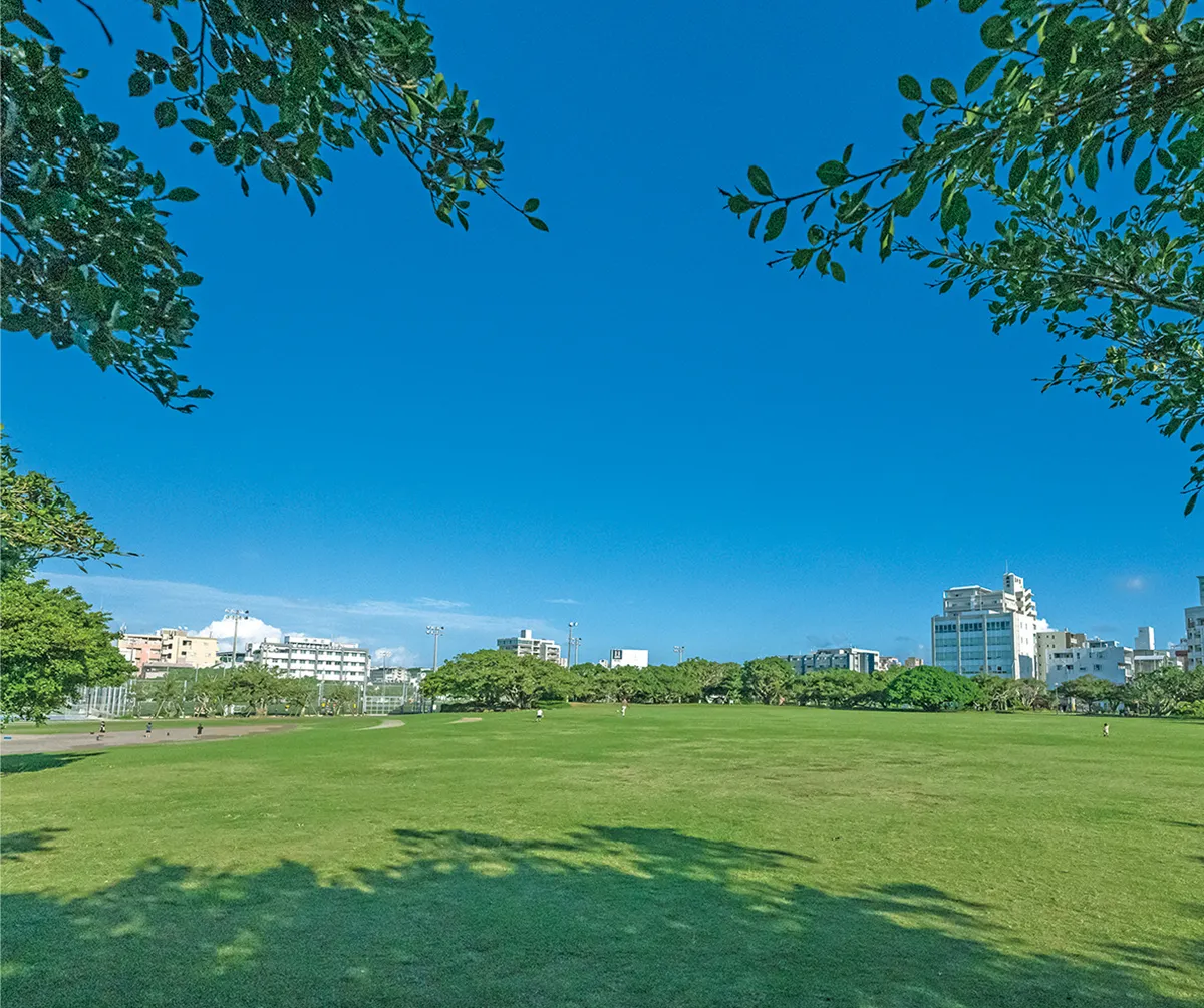 新都心公園 / 徒歩3分（約210m）