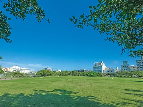 新都心公園 / 徒歩2分（約120m）